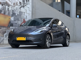 特斯拉 Model Y 2021款 长续航全轮驱动版 3D7