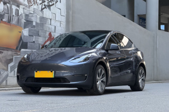 特斯拉 Model Y 2021款 长续航全轮驱动版 3D7