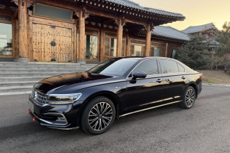 大众 辉昂 2021款 380TSI 豪华版