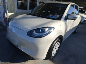 五菱汽车 五菱缤果 2023款 333km 快享款