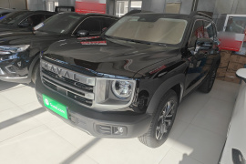 哈弗大狗 2024款 1.5T DCT边牧版