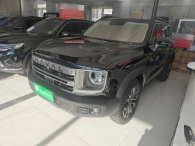 哈弗大狗 2024款 1.5T DCT边牧版