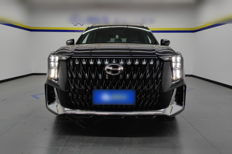 广汽传祺 传祺GS8 2022款 双擎系列 2.0TM 两驱尊贵版 （七座）车身外观2