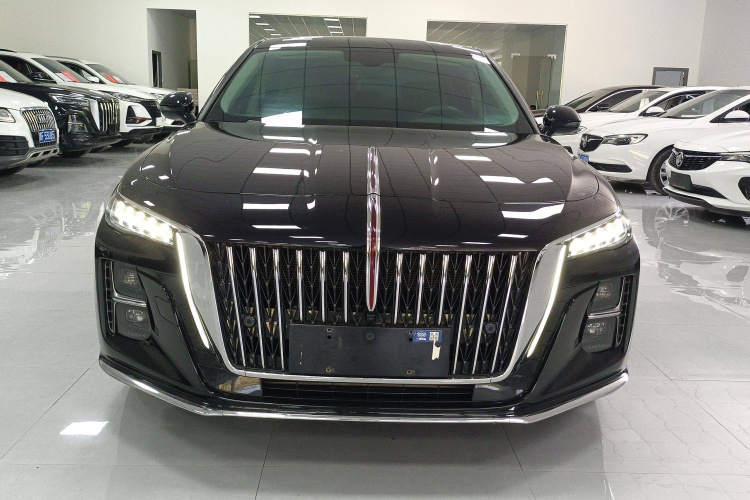 红旗H5 2024款 2.0T 自动智联旗享版局部细节9002