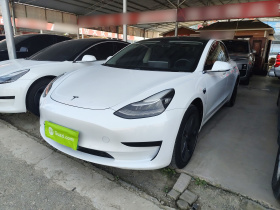 特斯拉 Model 3 2019款 标准续航后驱升级版