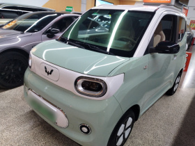 五菱汽车 宏光MINIEV 2024款 第三代 215km 进阶版