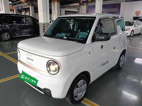 吉利汽车 2023款 熊猫mini 120km 超萌熊