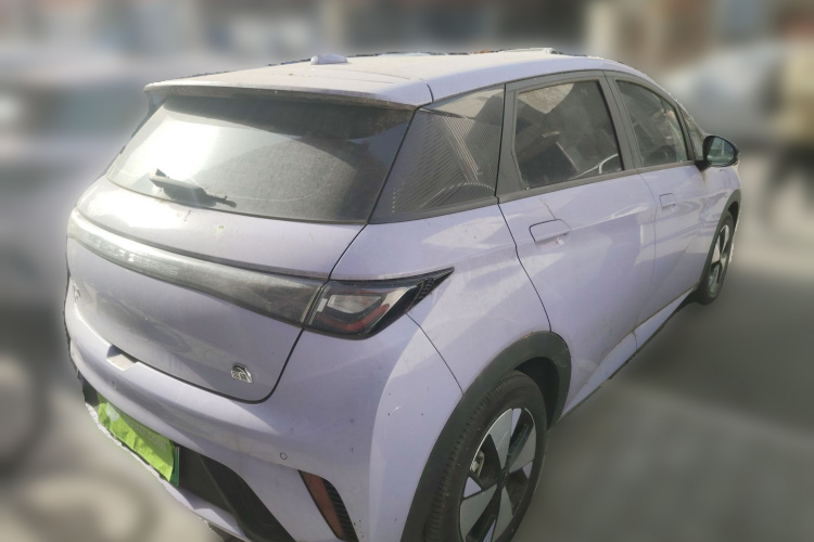 比亚迪 海豚 2023款 420km 自由版车身外观6005