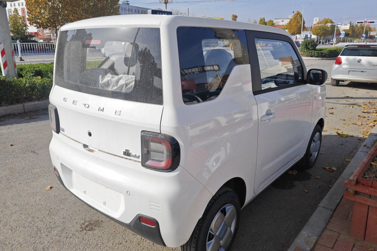 吉利银河 2024款 熊猫mini 200km 耐力熊车身外观7