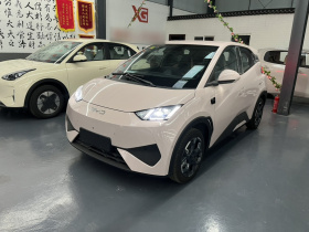 比亚迪 海鸥 2025款 智驾版 305km 自由版