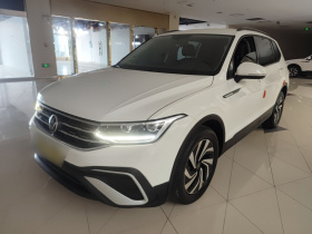 大众 途观L 2023款 330TSI 自动两驱舒享版