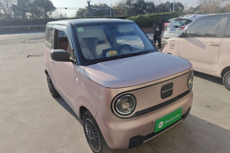 吉利银河 2023款 熊猫mini 200km 耐力熊车身外观6002