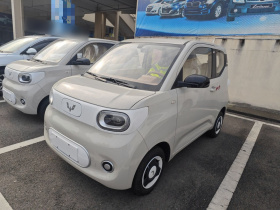 五菱汽车 宏光MINIEV 2024款 第三代 215km 青春版