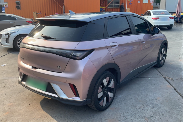 比亚迪 海豚 2023款 401km 骑士版车身外观7