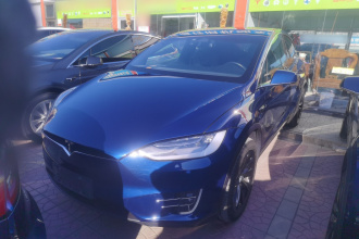 特斯拉 Model X 2020款 长续航升级版