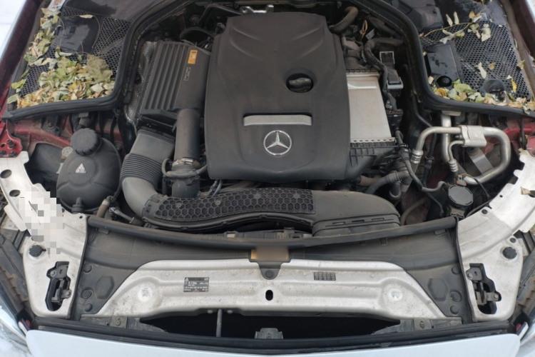 奔驰C级 2018款 C 200 L 运动版 成就特别版局部细节24