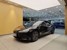 特斯拉 Model 3 2020款 标准续航后驱升级版