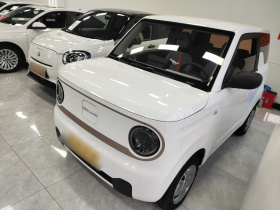 吉利银河 2023款 熊猫mini 200km 耐力熊