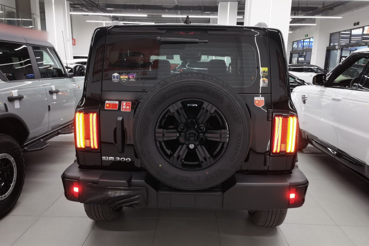 坦克300 2025款 2.0T 挑战者车身外观6