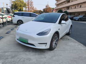 特斯拉 Model Y 2021款 长续航全轮驱动版