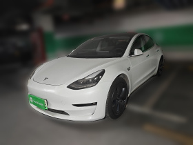 特斯拉 Model 3 2020款 改款 长续航后轮驱动版