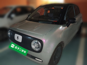 欧拉黑猫 2021款 301km 基础型