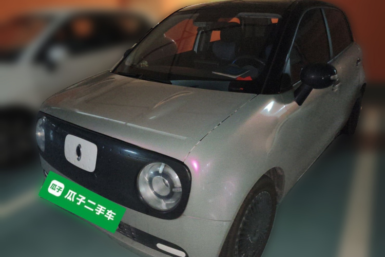 欧拉黑猫 2021款 301km 基础型车身外观1