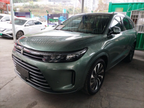 鸿蒙智行 问界M7 2022款 1.5T 后驱舒适版