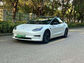 特斯拉 Model 3 2022款 后轮驱动版