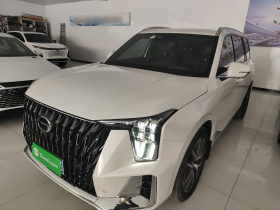 广汽传祺 传祺GS8 2022款 双擎系列 2.0TM 两驱尊贵版 （七座）