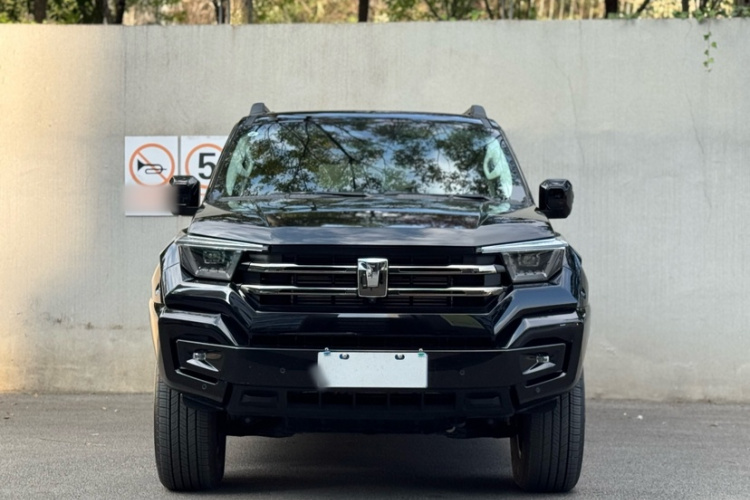 坦克400 2025款 2.0T 汽油版车身外观6002