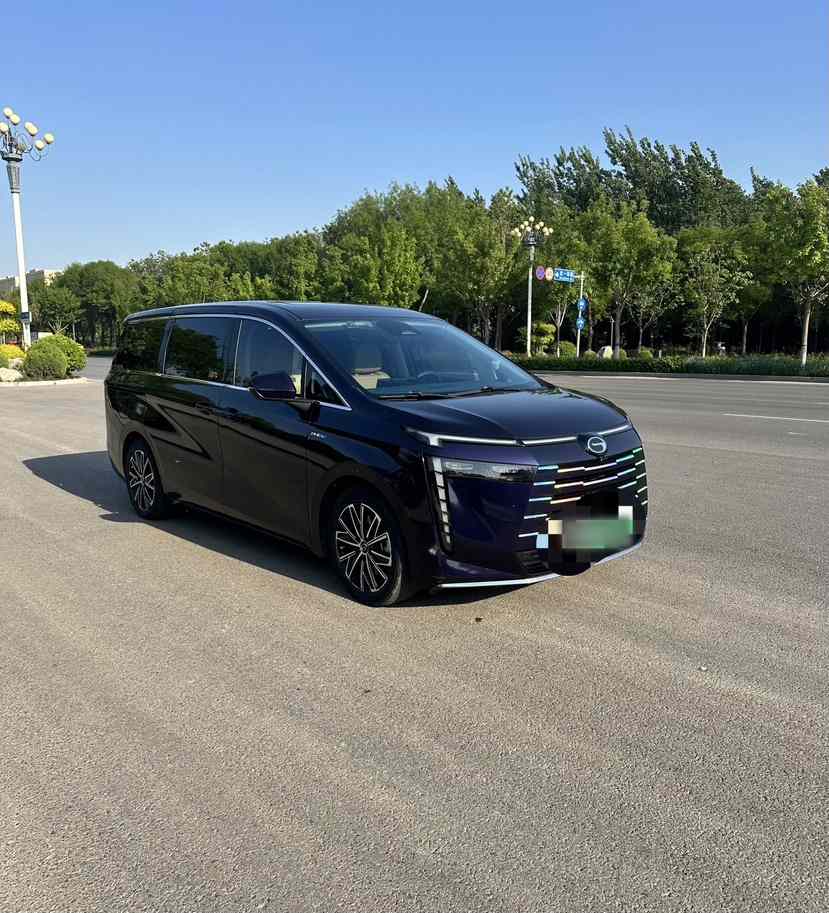 广汽传祺 传祺E8新能源 2024款 150km MAX(2)