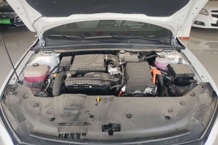 比亚迪 秦PLUS 2024款 荣耀版 DM-i 55KM领先型机舱底盘24