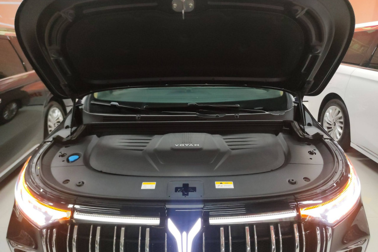 岚图汽车 岚图梦想家 2022款 低碳版 想+智驾包局部细节24