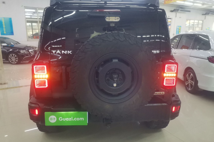 坦克300 2023款 2.0T 铁骑02车身外观6004