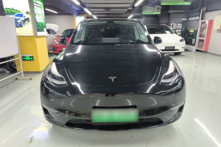 特斯拉 Model Y 2021款 标准续航后驱版车身外观6001