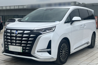 腾势D9 2022款 DM-i 1040 尊贵型