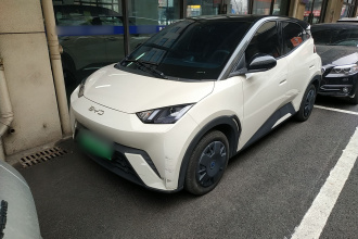 比亚迪 海鸥 2024款 荣耀版 305km 活力版