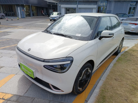 东风纳米 纳米01 2024款 330 Plus智+