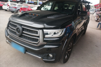 长城 炮 2023款 2.0T乘用版自动汽油四驱舒适型GW4C20B