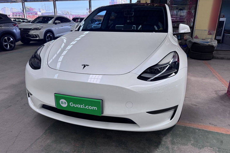 特斯拉 Model Y 2021款 长续航全轮驱动版车身外观6002