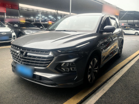 五菱汽车 五菱凯捷 2020款 1.5T CVT旗舰型