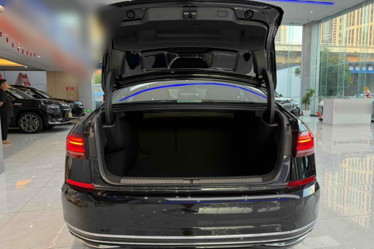 大众 帕萨特 2025款 出众款 380TSI 龙腾版中控内饰7005