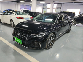 大众 帕萨特 2024款 380TSI 星空豪华版