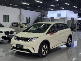 比亚迪 海豚 2025款 420km 自由版