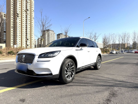 林肯 冒险家 2020款 2.0T 两驱尊雅版