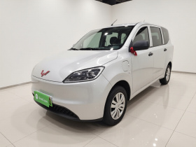 五菱汽车 五菱宏光新能源 2024款 纯电版 300KM 实用型