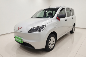 五菱汽车 五菱宏光新能源 2024款 纯电版 300KM 实用型