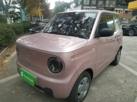 吉利银河 2023款 熊猫mini 200km 耐力熊