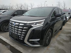 腾势D9 2024款 DM-i 1050 尊享型